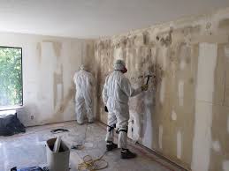 Mold Documentation for Insurance Claims in Land O Lakes, FL